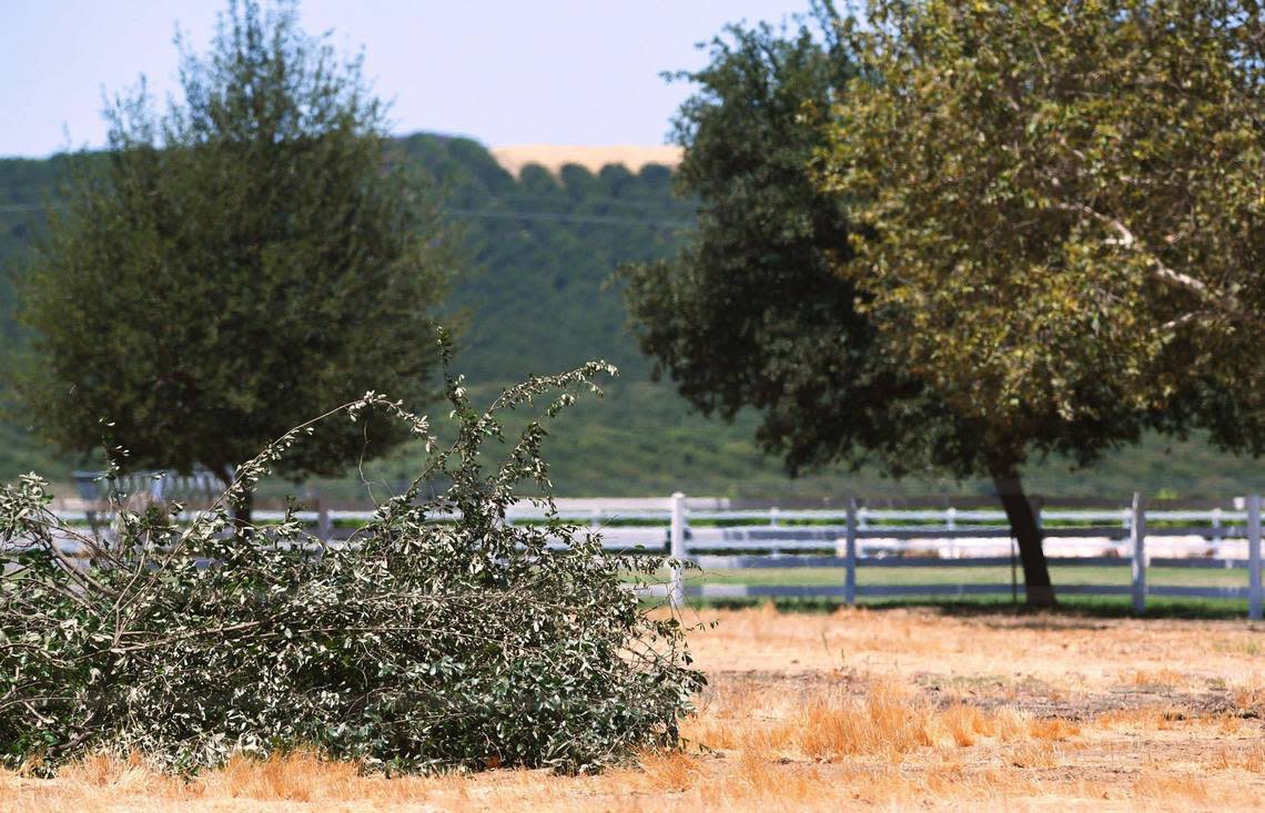 A fenced field surrounded by pastures for horses is seen near the foothills where a college and housing development has been proposed on 7,000 acres of land owned by John Harris. Photographed Wednesday, July 13, 2022.