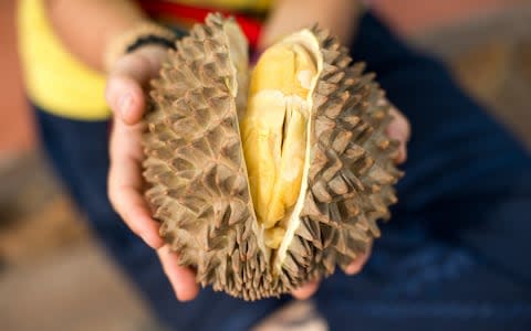 Durian is considered by many to be the smelliest fruit in the world - Credit: Yarygin/Getty