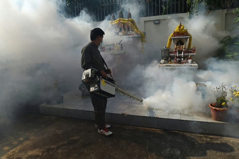 Health experts have warned Asia is particularly vulnerable to the Zika virus, given that the Aedes aegypti mosquito -- which carries Zika, dengue fever and the chikungunya virus -- thrives in its congested cities