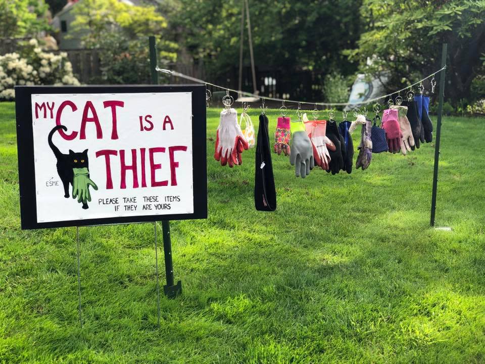 my cat is a thief yard sign