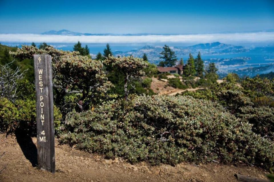 The Rock Spring Trail ends at West Point Inn at Mount Tamalpais State Park in Marin County.