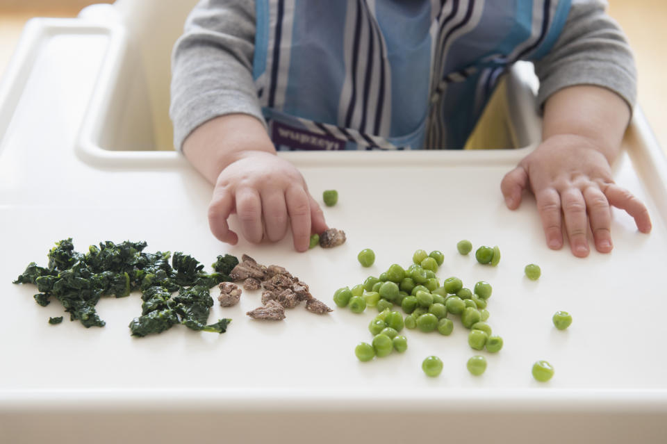 El BWL es el inicio de la alimentación complementaria y son ellos mismos quienes realizan la transición hacia los sólidos. Hay que buscar alimentos adecuados (los guisantes de momento no) siempre pensando sobre todo en disminuir riesgo de que se pueda atragantar. (Foto: Getty)