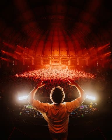 <p>Nick Walker</p> Zedd