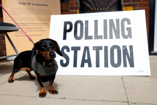 Elsie, a dachshund dog, sits by a sign at the Greenwood Park Community centre, which is acting as a polling station during local elections, in St Albans (REUTERS)