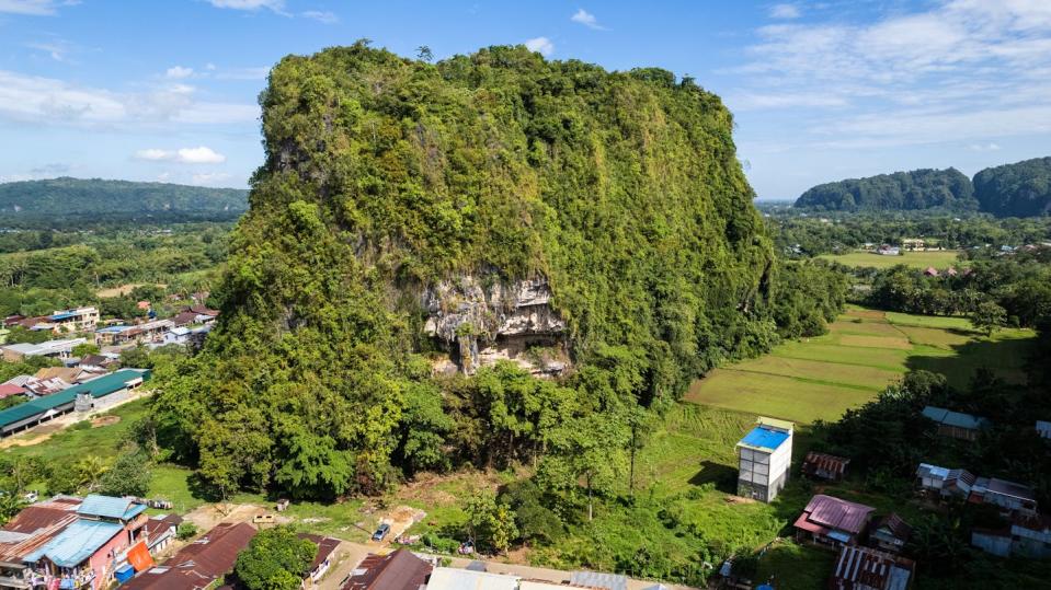 Karampuang Hill, where the artwork was found. Google Arts & Culture