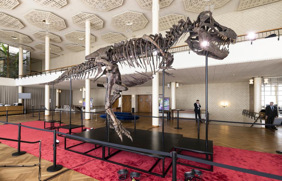 Visitors watch the skeleton of a Tyrannosaurus rex named Trinity, during a preview by auction house Koller at the Tonhalle Zurich concert hall, on Wednesday, March 29, 2023 in Zurich, Switzerland.