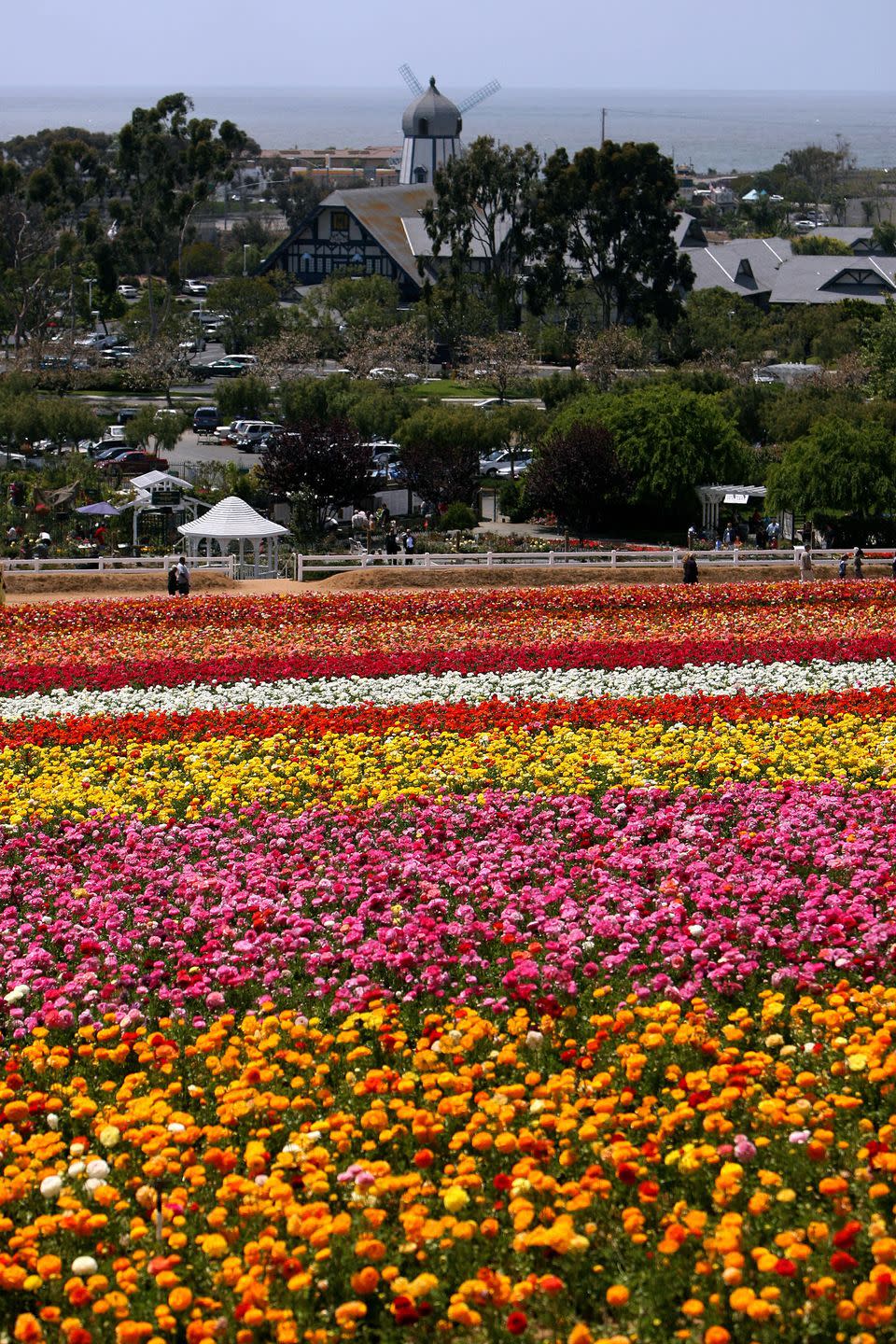 Carlsbad Ranch