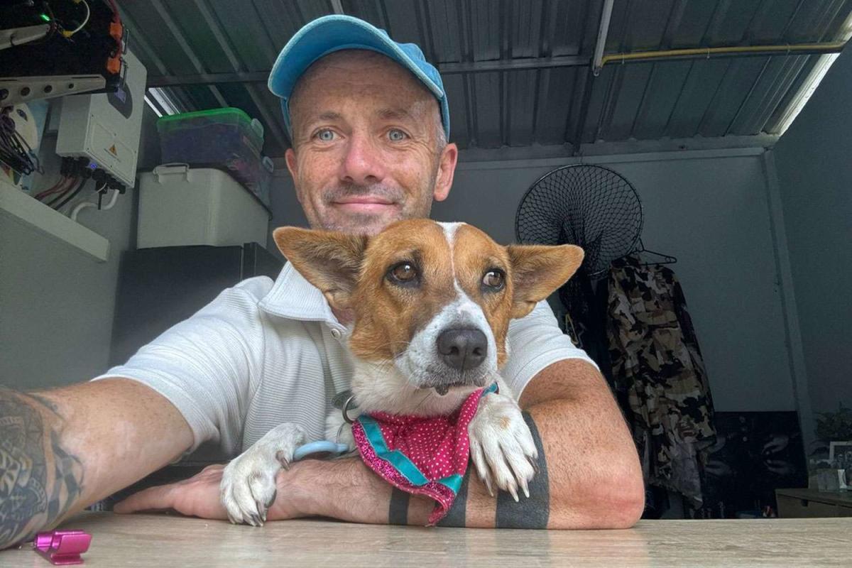 After near-death experience, man dedicates his “entire life” to saving Thai street dogs (exclusive)