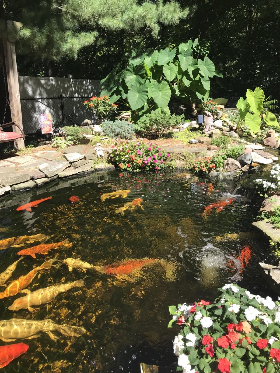 Reiki master Wendy Jordon sees clients on the back deck of her East Peoria home, which overlooks a waterfall and koi-filled pond.