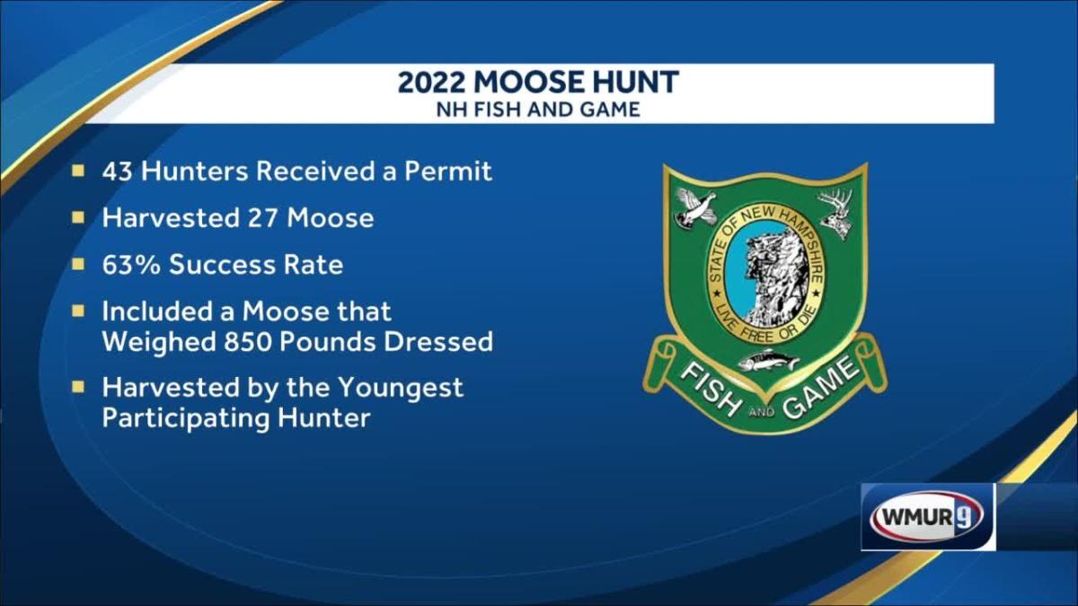 NH Fish and Game releases 2022 moose hunt results