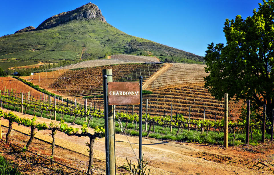 Village discret à 50 kilomètres à l’Est du Cap, au coeur de la région des vins, Franschhoek donne aux visiteurs la possibilité de goûter à une vaste gamme de vins. 