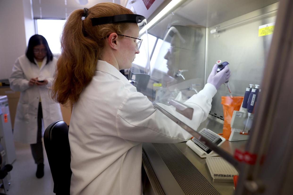 <span>A microbiologist tests poultry samples collected from a farm for bird flu at a laboratory at the University of Wisconsin-in 2022.</span><span>Photograph: Scott Olson/Getty Images</span>