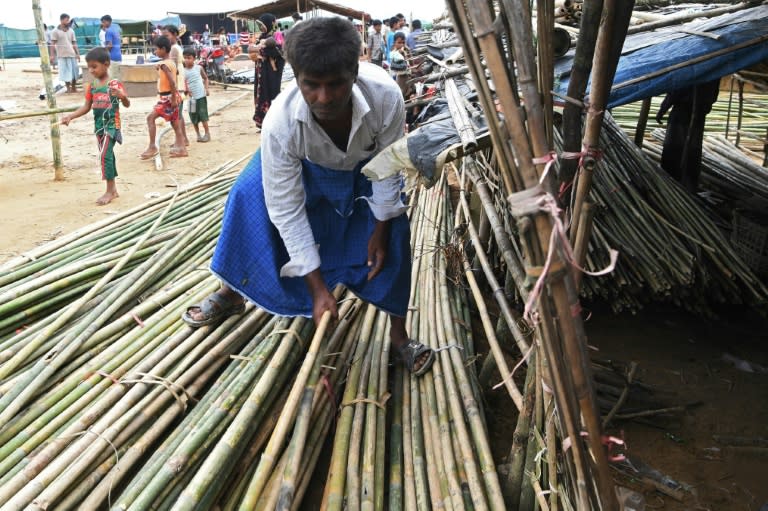 Hafez Ahmed, who sells bamboo on the roadside, arrived at Kutupalong 27 years ago, when elephants still roamed the area