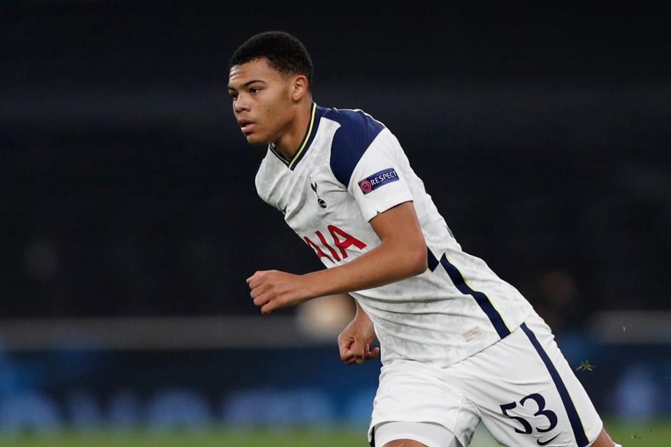 <p>Dane Scarlett made his third senior Tottenham appearance off the bench against Wolfsberger</p> (AFP via Getty Images)