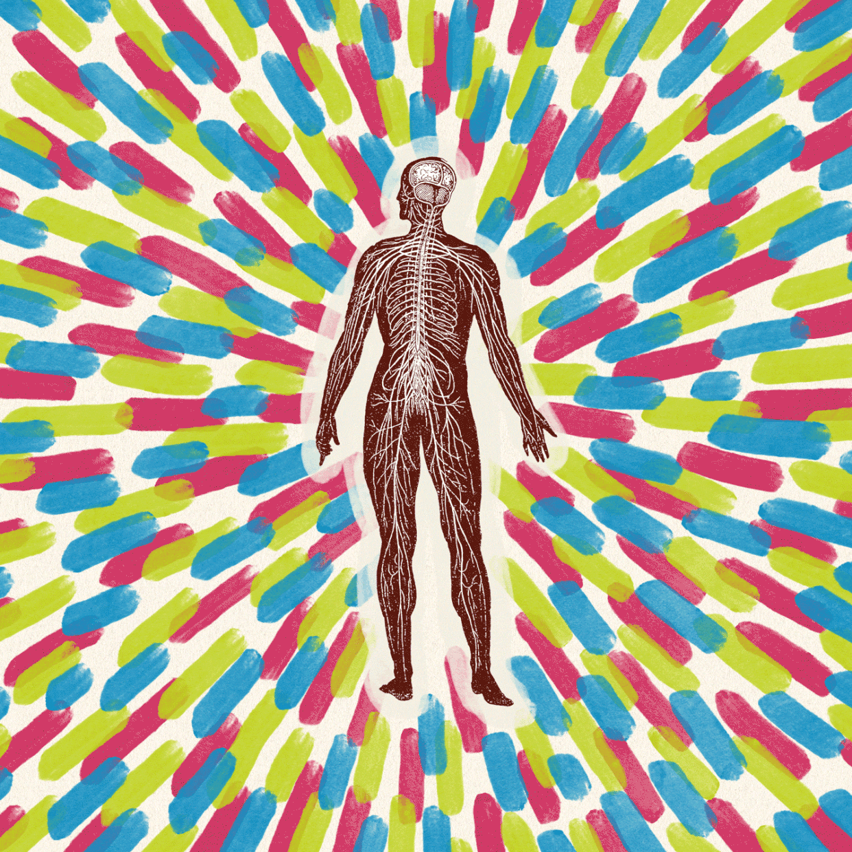 Illustration of a human anatomy figure showing nervous system with color dashes radiating outward