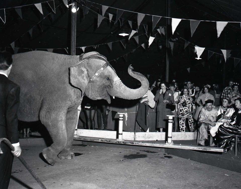 Revelers at the Hopps birthday party 1951.