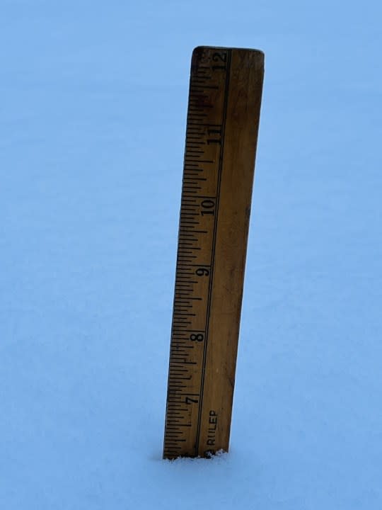 6 inches of snow in Donelson (Courtesy: Michelle Dube)