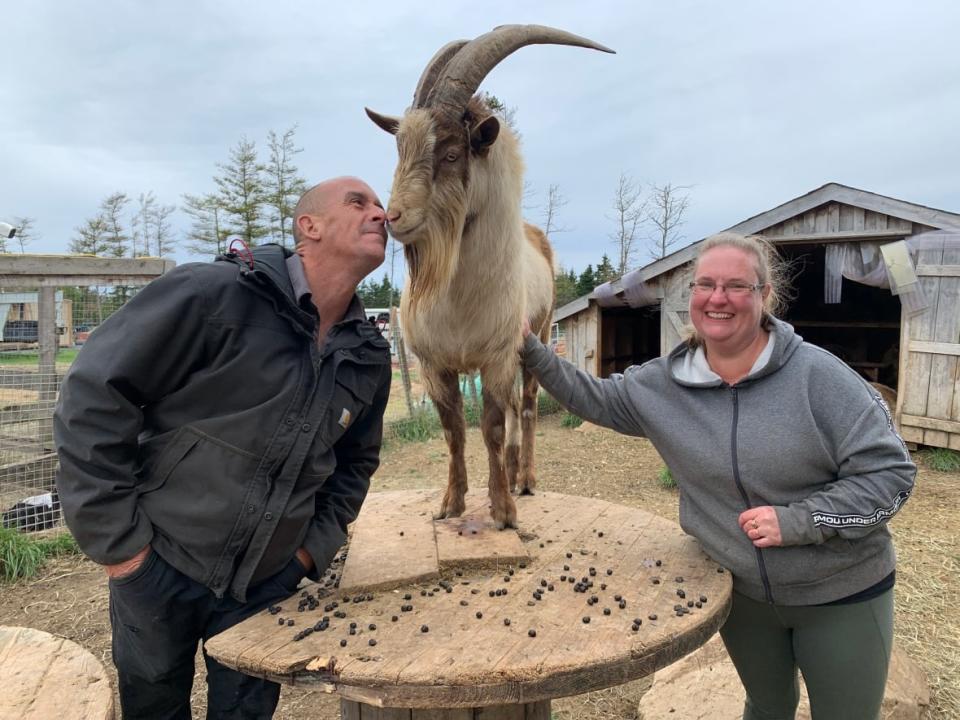 Blair and Kim Davis pose with one of their therapy goats at their Lawrencetown, N.S., farm. (Nicola Seguin/CBC - image credit)