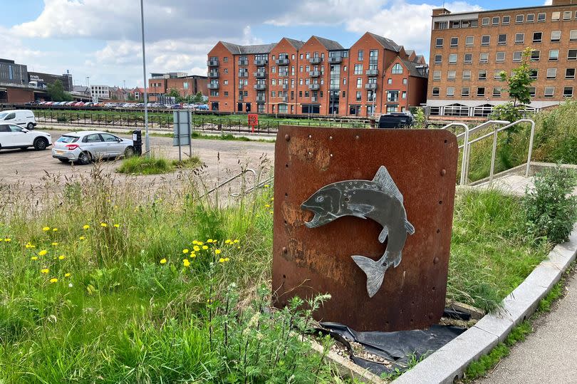 The Fish Trail in Hull has 41 different stops - pictured stop number 26, the Salmon on Scale Lane Bridge