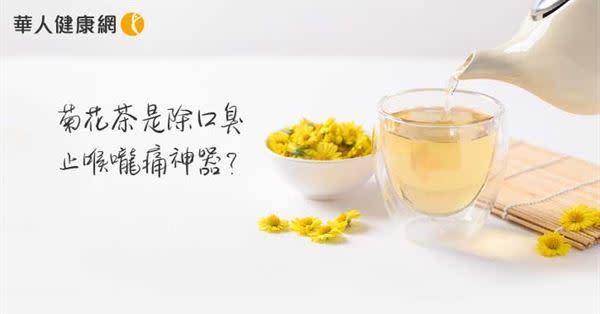 【影音版】菊花茶是除口臭、止喉嚨痛神器？菊花加桑葉是絕配！