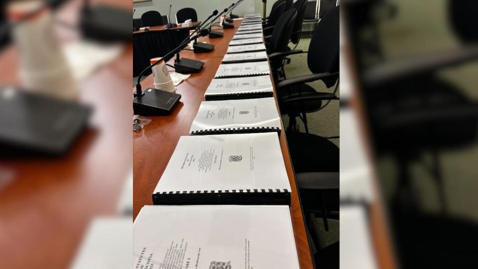 It took more than six years for lawyers with Nova Scotia's legislative counsel's office to update these 18 volumes of provincial statutes. They are displayed before the law amendments committee in a meeting room near the legislature on Tuesday in Halifax.   (MLA Lisa Lachance/Halifax Citadel-Sable Island - image credit)