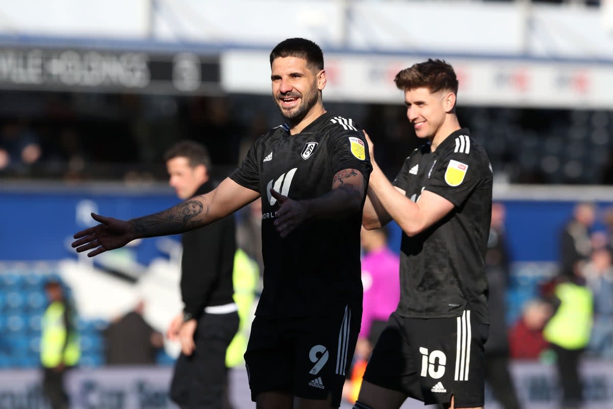 Aleksandar Mitrovic (left) and Tom Cairney both starred in the Championship (Kieran Cleeves/PA) (PA Archive)