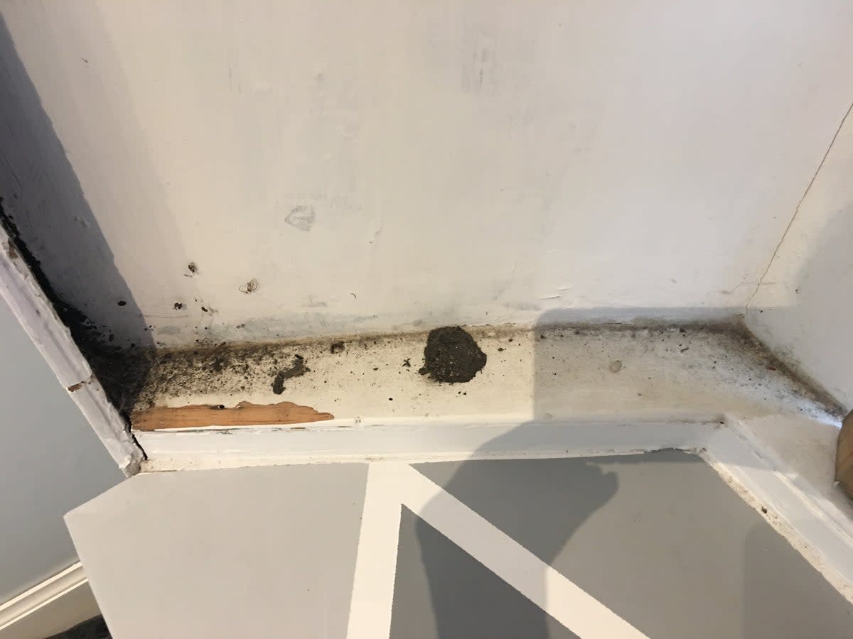 Mother claimed flat was littered with black dirt and dust  (Media Scotland)