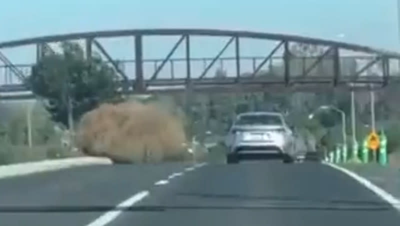 A car sized tumbleweed rolls across a highway in California is pictured in this screenshot of a video posted to X, formerly known as Twitter. 