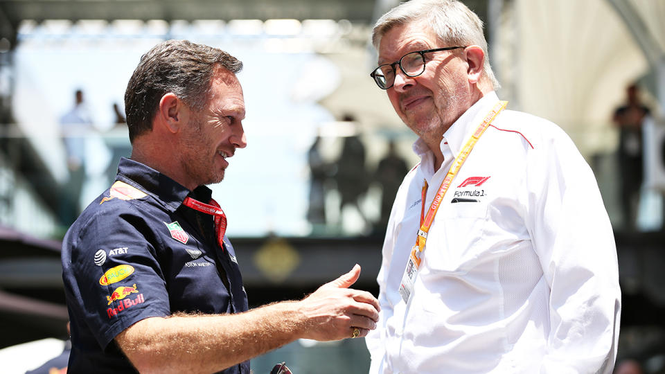 Red Bull Racing Team Principal Christian Horner and Ross Brawn, pictured here in 2019.