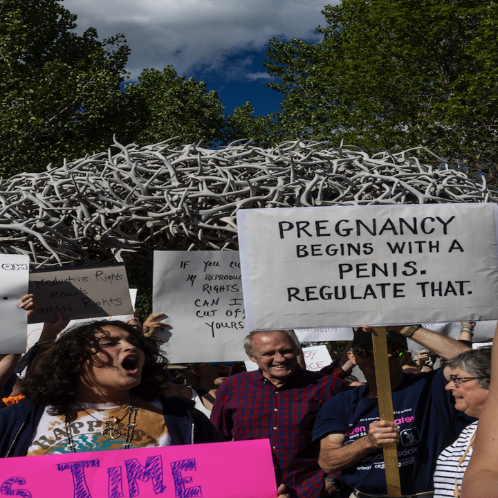 sign that reads, pregnancy begins with a penis, regulate that