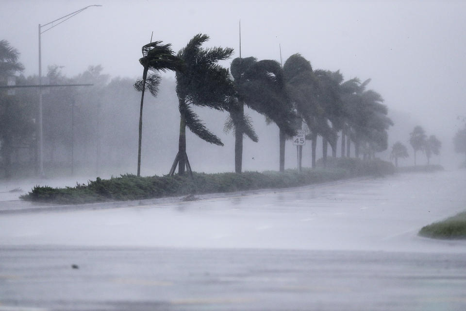 <p><strong>Naples</strong><br>The winds from Hurricane Irma blow palm trees as it approaches Naples, Fla., Sept. 10, 2017. (Photo: David Goldman/AP) </p>