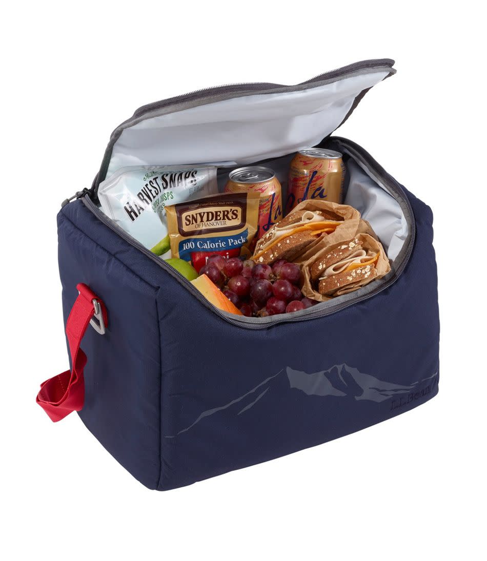 Softpack Cooler, Picnic Plus (Photo: L.L. Bean)