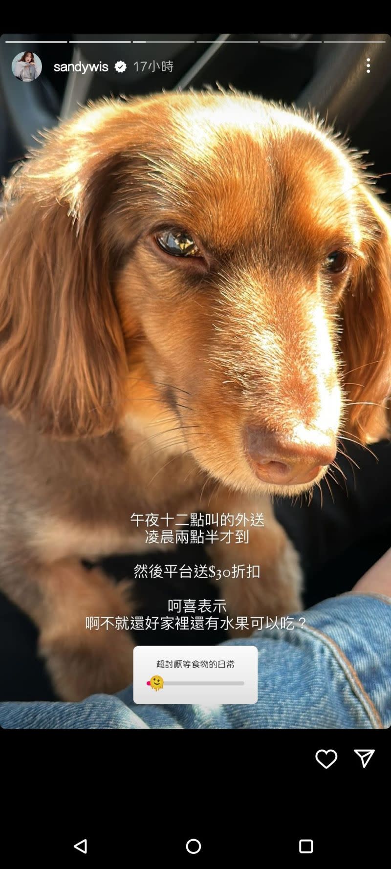 ▲Sandy再次發文抱怨外送等太久，透過自家愛犬的照片來表達不滿。（圖／翻攝吳姍儒IG）