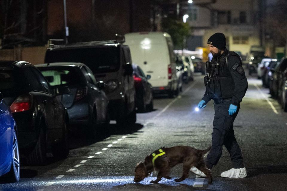 Police and a sniffer dog at the scene in Seven Kings (PA)