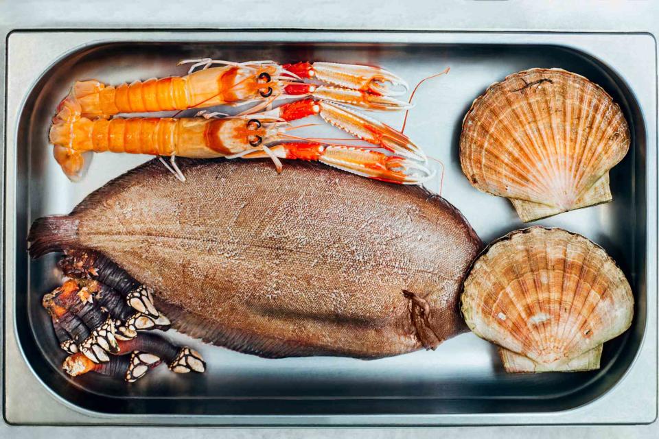 <p>James Rajotte</p> Fresh seafood awaits preparation at Madrid