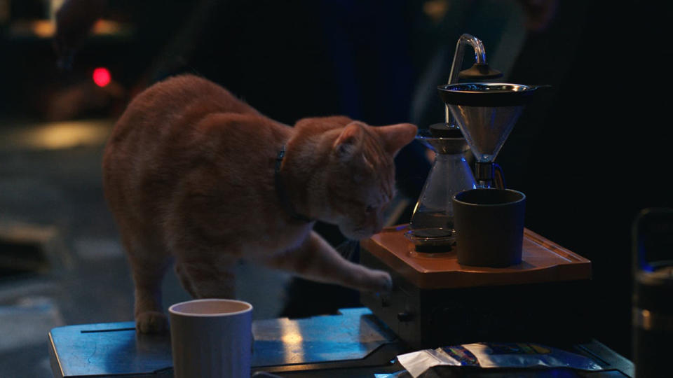 Still from The Marvels (2023) movie. What appears to be an orange cat pawing at a fancy looking coffee machine, but is actually a Flerken (an alien cat).