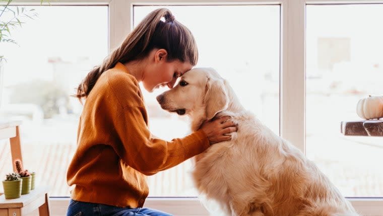 Golden Retriever Missing for 4 Months Reunited with Sorority House