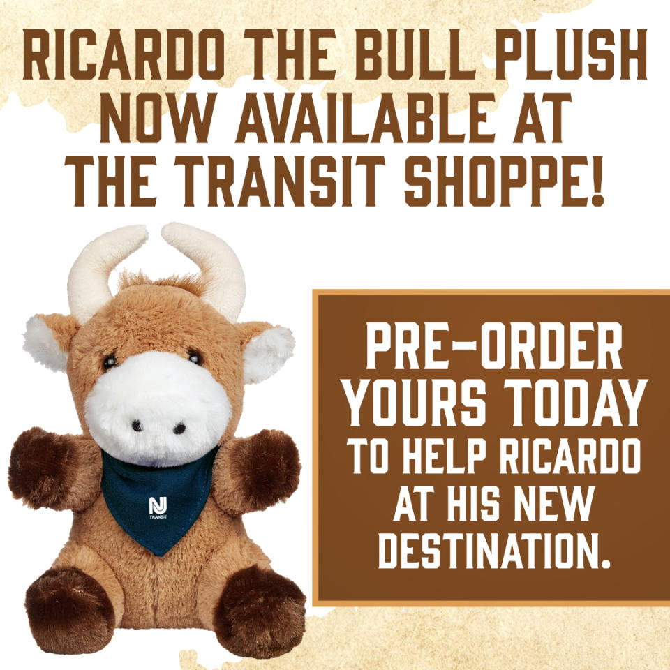 A Ricardo the Bull plush at a New Jersey transit shop. A portion of the proceeds will be donated to support Ricardo. 