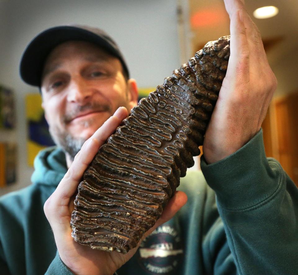 New England Fishmongers Capt. Tim Rider holds a woolly mammoth tooth fossil found in the waters off Newburyport in December.  Rider wants to auction off the tooth and donate all the proceeds to benefit Ukrainian citizens suffering from the war in their country.