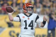 NFL: Cincinnati Bengals at Pittsburgh Steelers