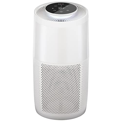 Instant HEPA Quiet Air Purifier (Amazon / Amazon)