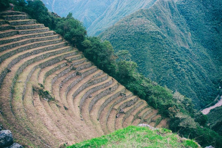 <span class="caption">Incan agricultural terraces in Peru.</span> <span class="attribution"><a class="link " href="https://www.shutterstock.com/image-photo/agriculture-centre-terraces-covered-by-grass-1132628009?src=eHPhYo5WW1WElwHxgtE7Kg-1-22" rel="nofollow noopener" target="_blank" data-ylk="slk:Alessandro Vecchi/Shutterstock;elm:context_link;itc:0;sec:content-canvas">Alessandro Vecchi/Shutterstock</a></span>