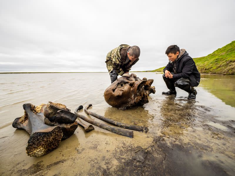 Specialists discover mammoth bones along the shore of Pechevalavato Lake in the Yamalo-Nenets autonomous distric