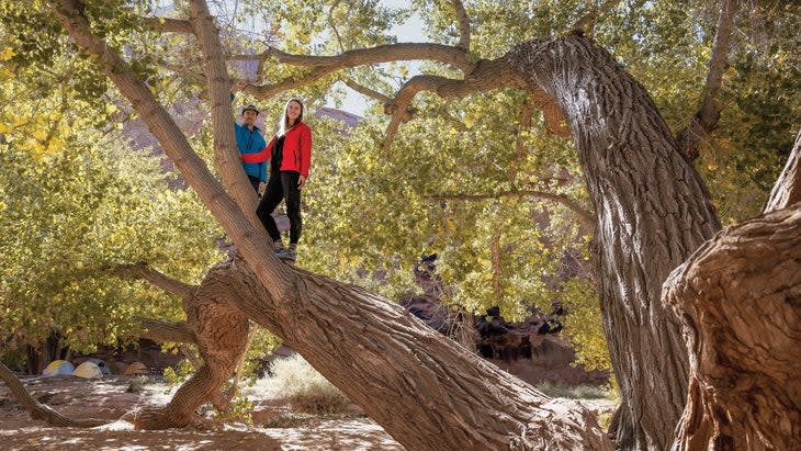 Earle and a friend standing on a huge tree in Moab.