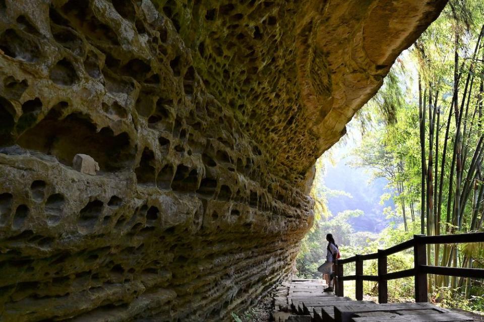 青年嶺步道（圖片來源：嘉義縣政府）