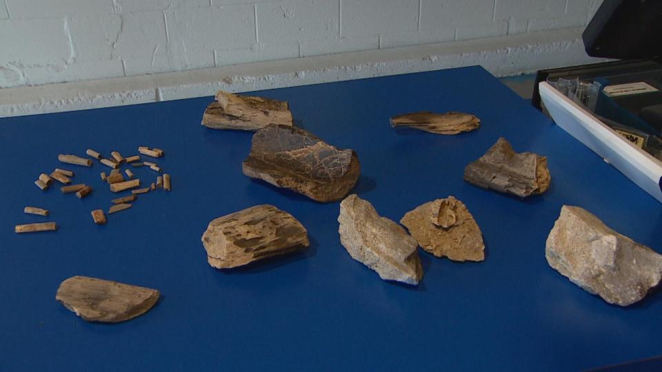 Here are some of the artifacts in a recent Goodwill donation. The Royal Tyrrell Museum is interested.