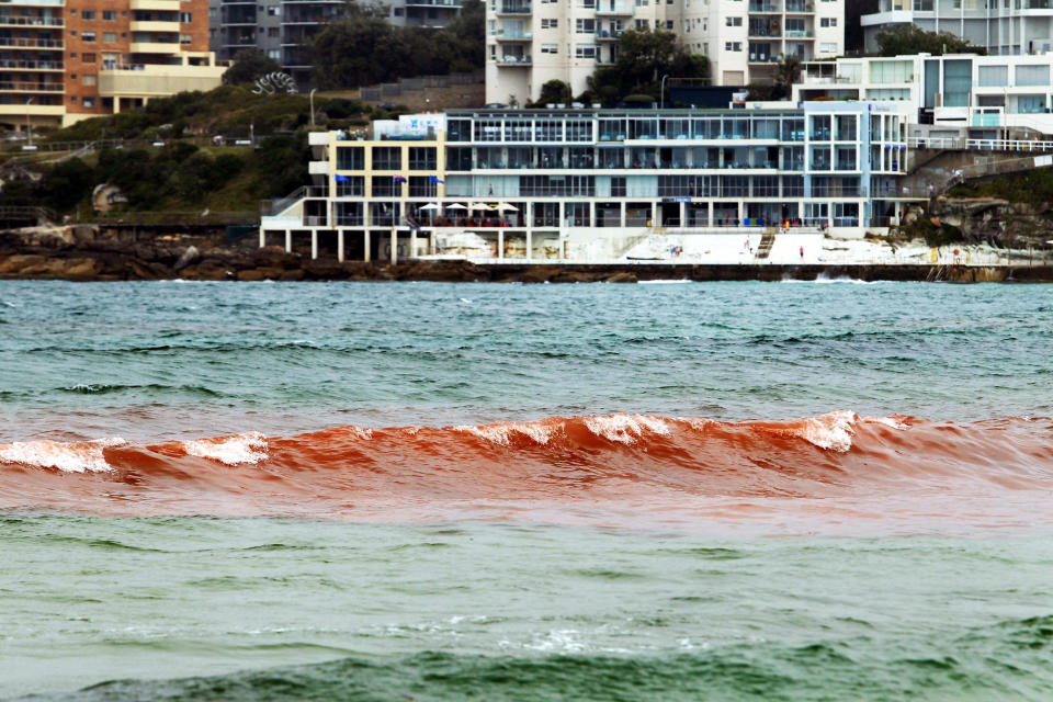 Bondi Beach, en Sídney. (Newspix/Rex/Rex USA