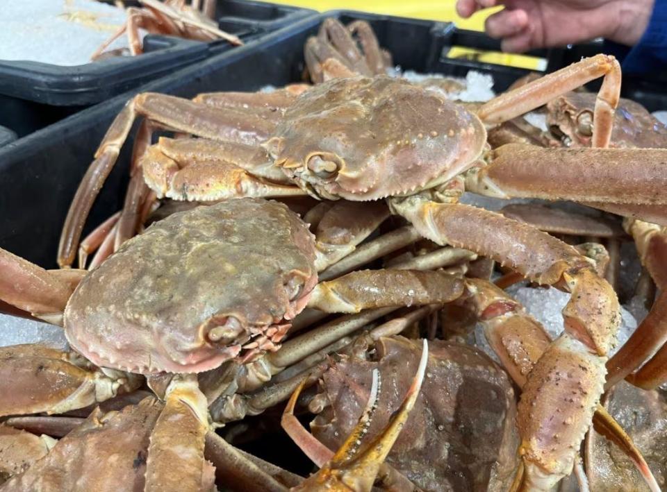 By the end of August, 300,000 pounds of snow crab had been dumped by N.L. processors, an increase of more than 400 per cent over 2022. (Terry Roberts/CBC - image credit)