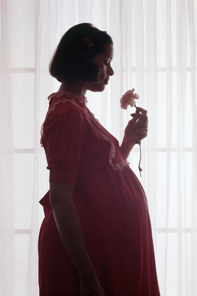 The History of Maternity Fashion Proves to Be More Fascinating Than We  Thought / Bright Side