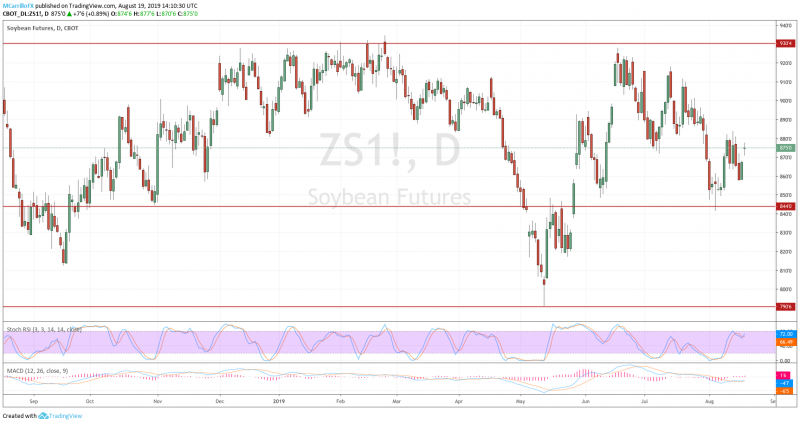 Daily chart for Soybeans August 19